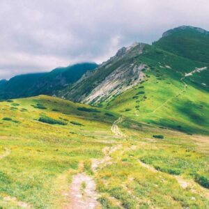 Cum et iste reiciendis consequatur