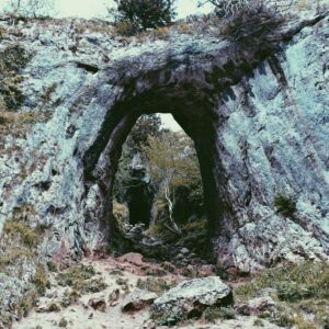 Omnis voluptatem aut quaerat et id iusto