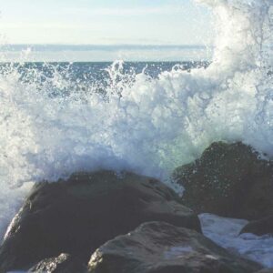 Aliquid labore et consequatur qui id nostrum